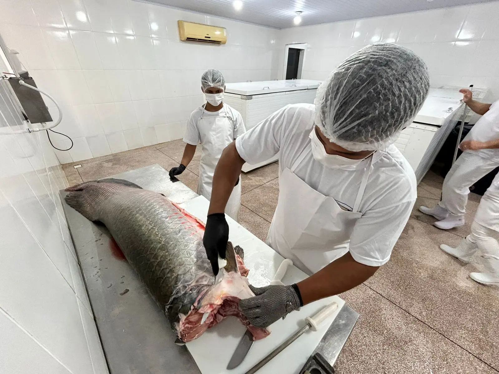 Prefeitura fortalece cadeia do pescado e garante mais segurança alimentar para consumidores 