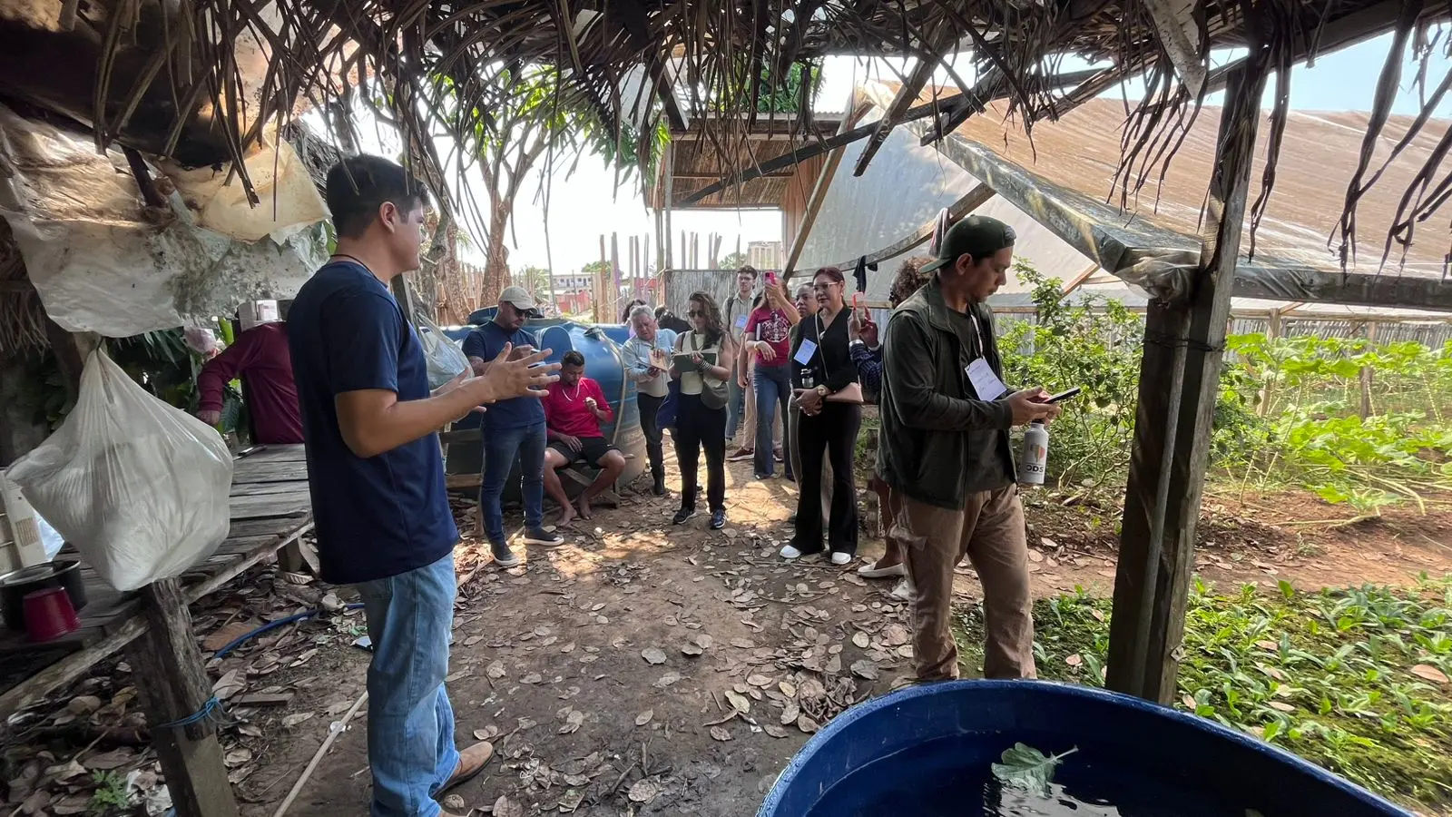 Agricultura urbana ganha espaço em formação nacional e amplia perspectivas para produção de alimentos 