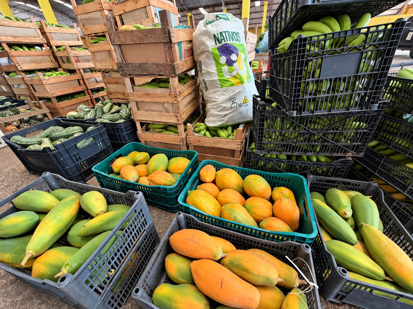 Grandes distâncias, menos custos: Transporte da Produção aproxima o campo do mercado em Porto Velho