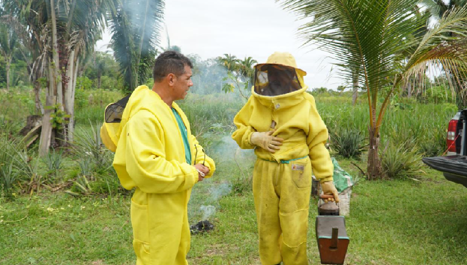 Orientação da Semagric é que, ao identificar enxames, a população entre em contato com a Prefeitura ou Corpo de Bombeiros 