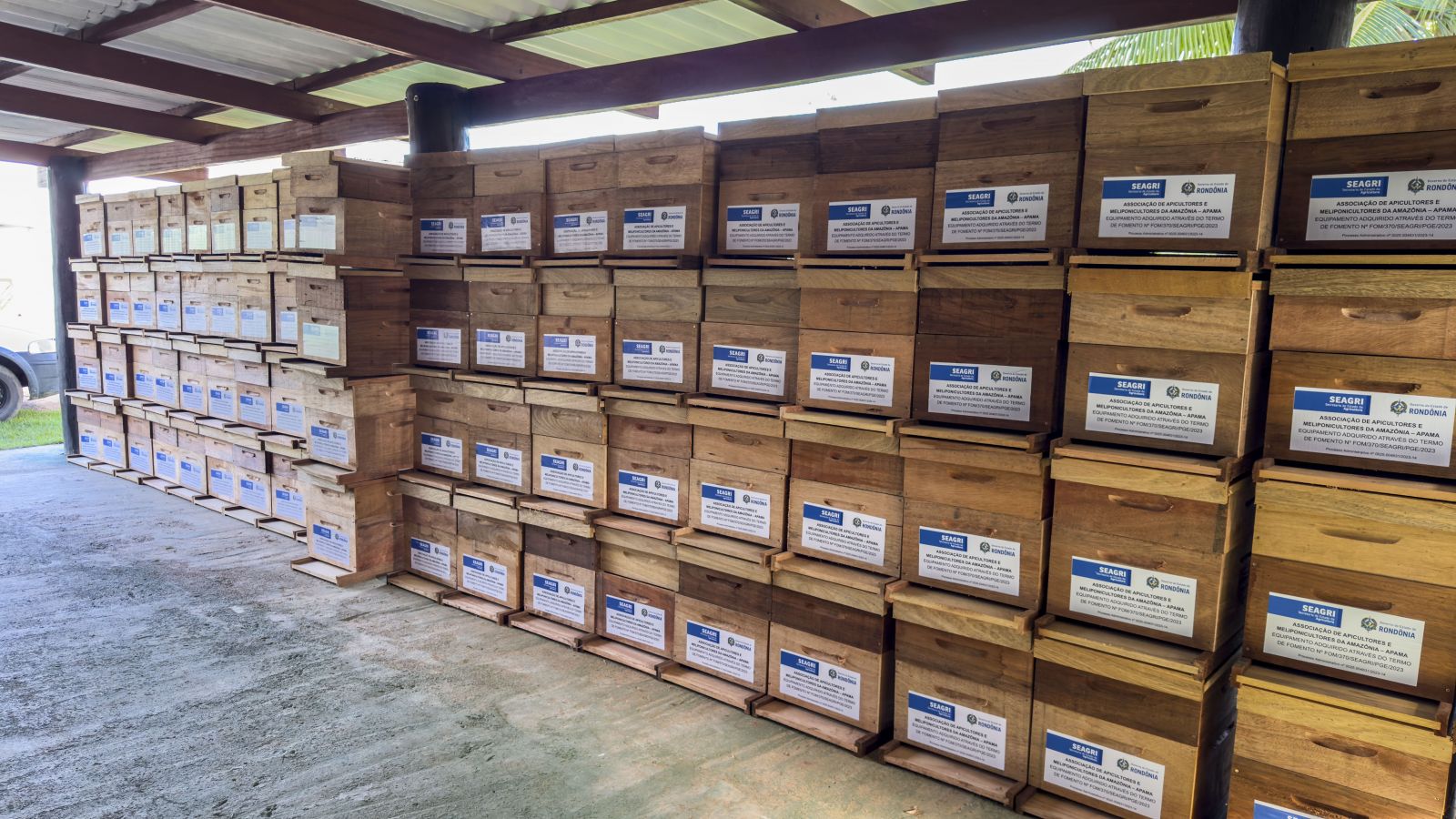 Programa Mel do Porto tem iniciativas como distribuição de caixas para criação