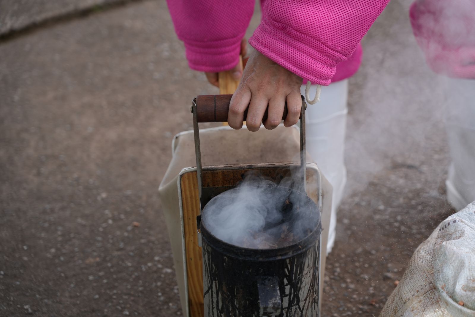 Ocorrências devem ser comunicadas à Semagric ou ao Corpo de Bombeiros