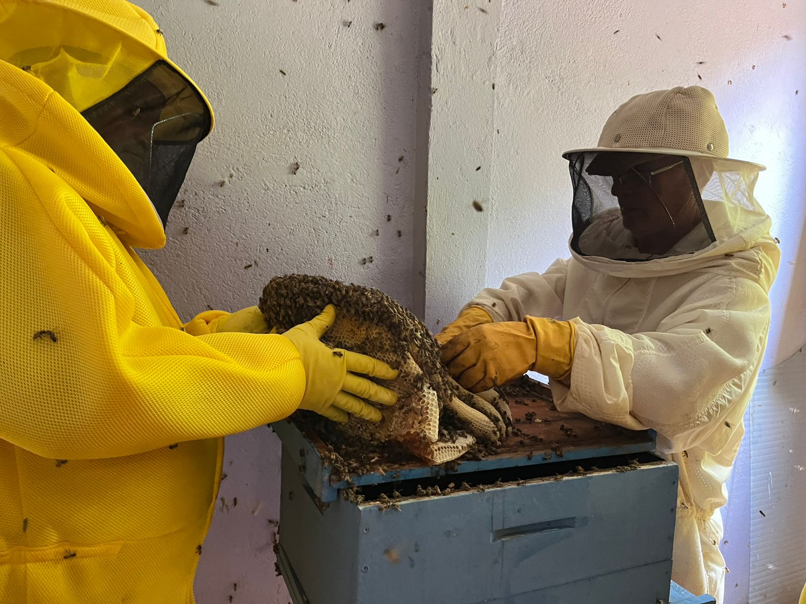 Ecento visou a capacitação dos apicultores atendidos pelos programas de assistência técnica da Semagric