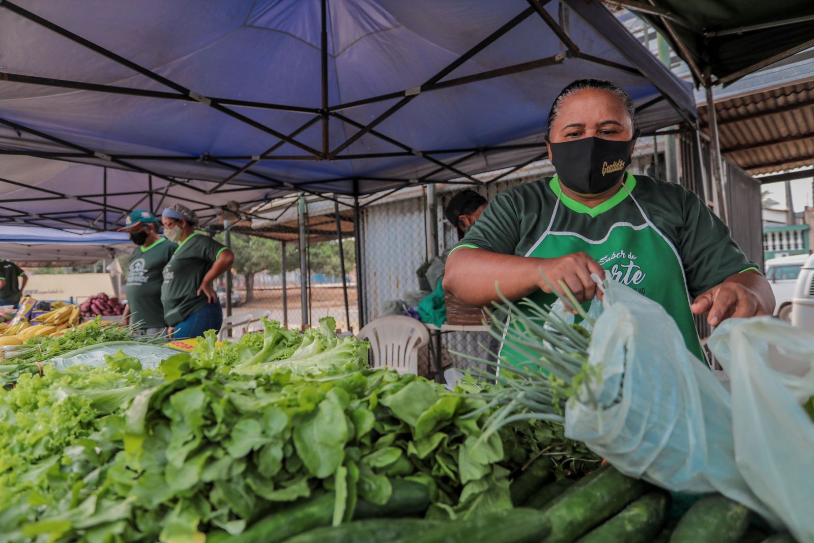 Cerca de 80 famílias de pequenos produtores rurais apostam no plantio de hortaliças