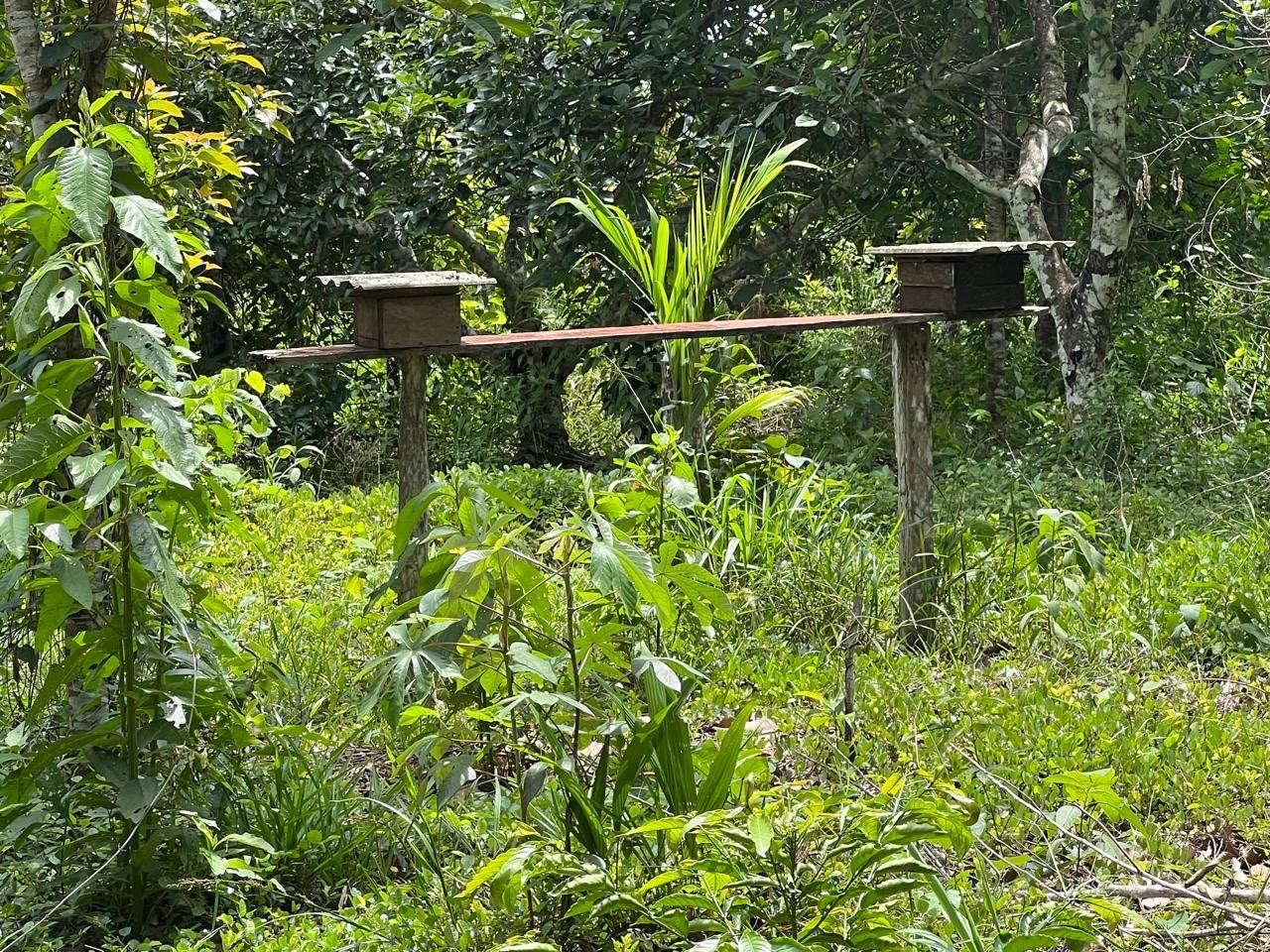 Semagric tem sido parceira de trajetórias como a de Abrelino