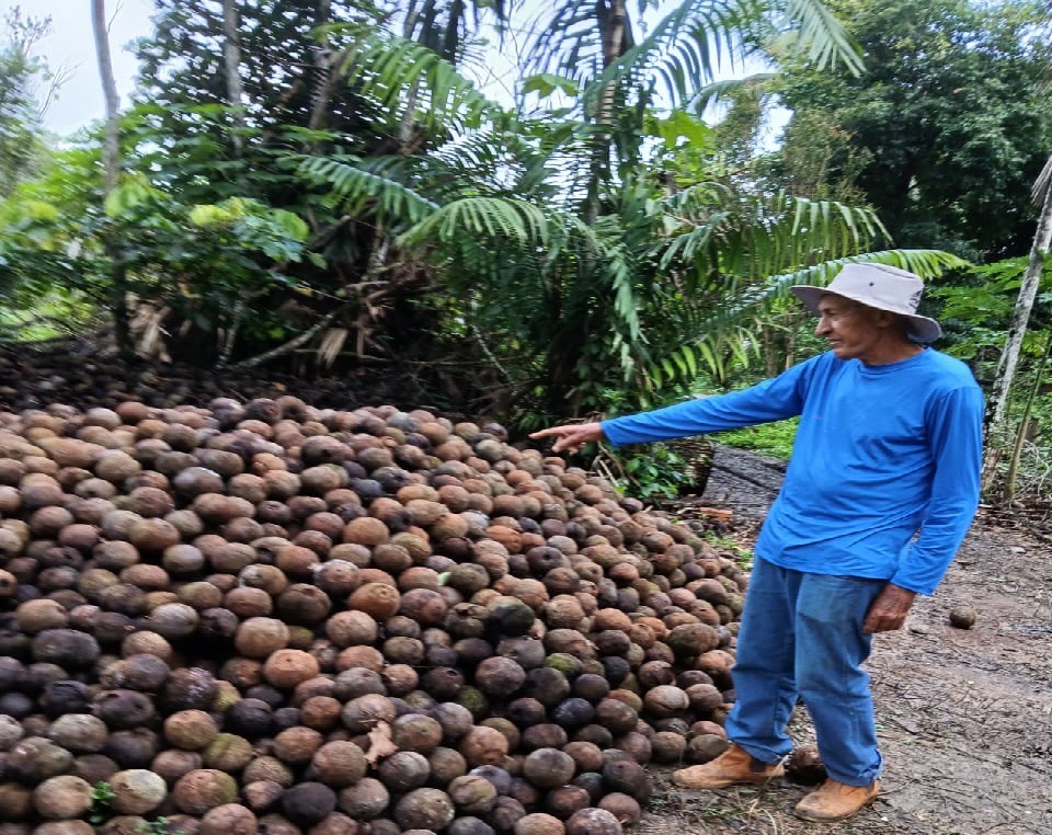 Agricultor Abrelino segue ativo e orgulhoso da terra que cultiva
