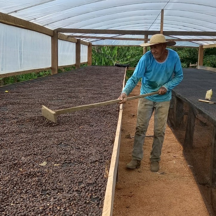 No início, Abrelino cultivava diferentes culturas até compreender a dinâmica do mercado local