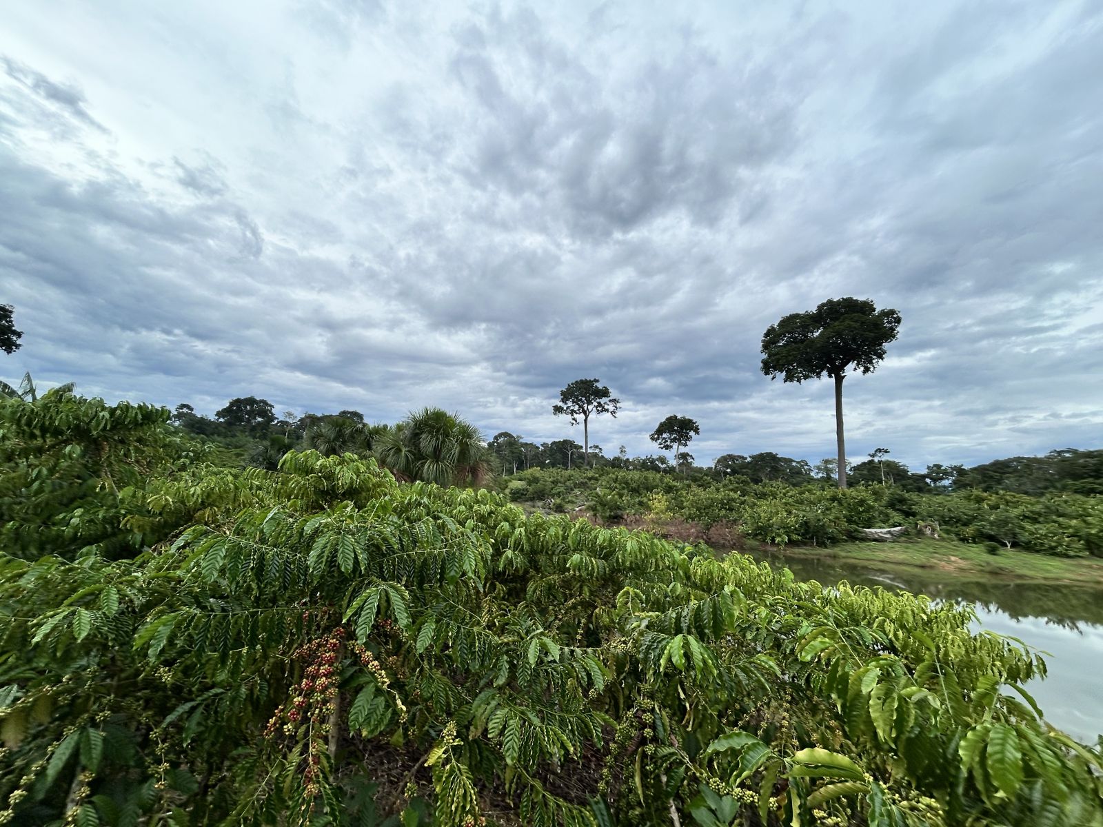 Gestão tem investido em programas que promovem a sustentabilidade no campo