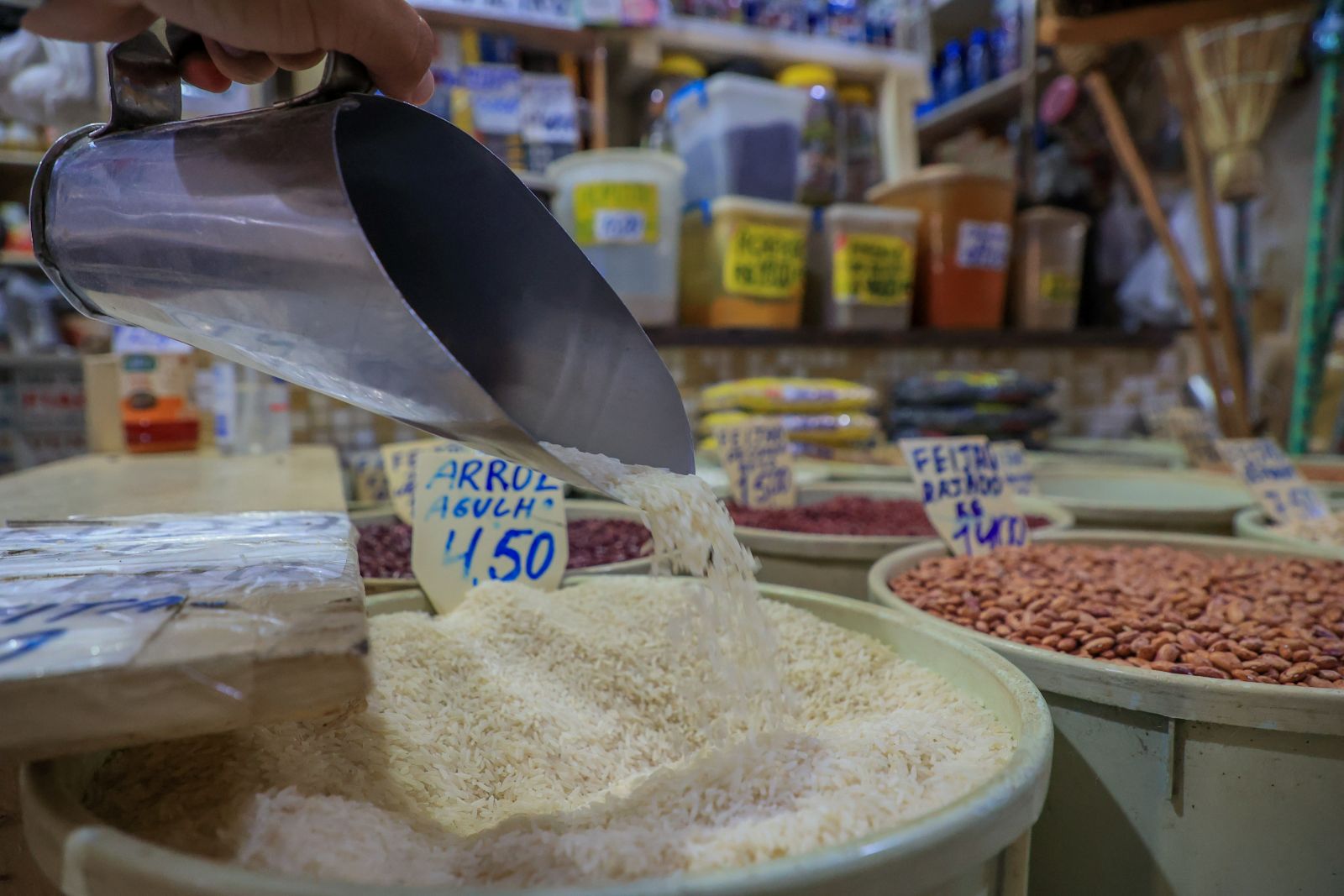 A cultura do arroz sofreu um crescimento de 1000% em dez anos