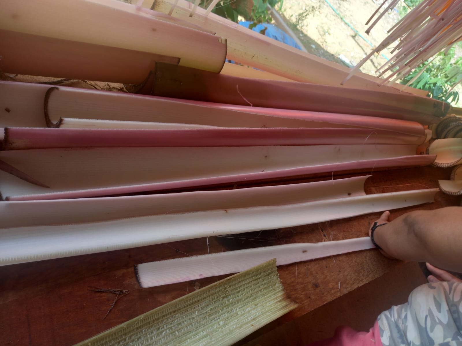 Oficina representa mais um passo na promoção da economia sustentável