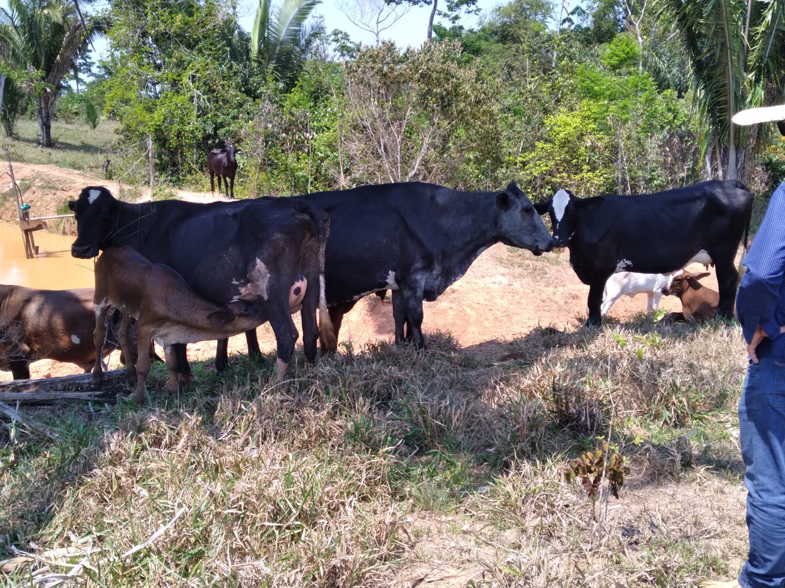 Município de Porto Velho é um dos que mais tem ampliado a sua capacidade produtiva