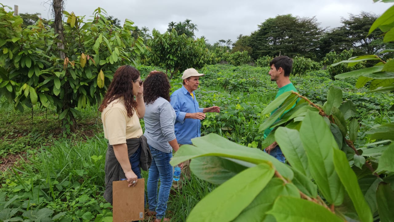  Reca é uma referência em agroecologia e sustentabilidade