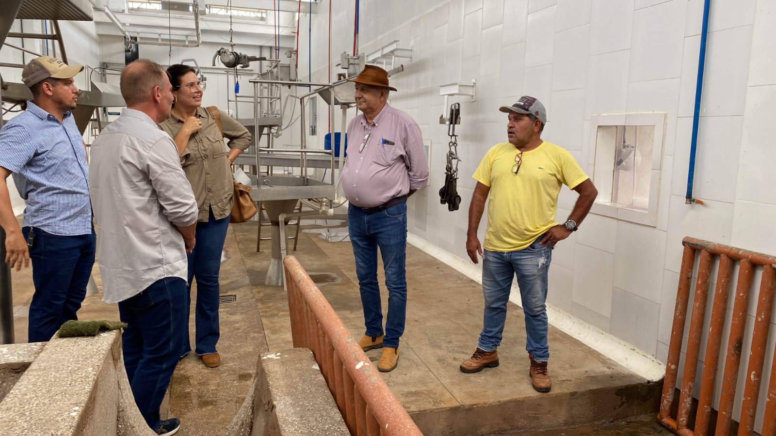 Primeira etapa da inspeção acontece no curral