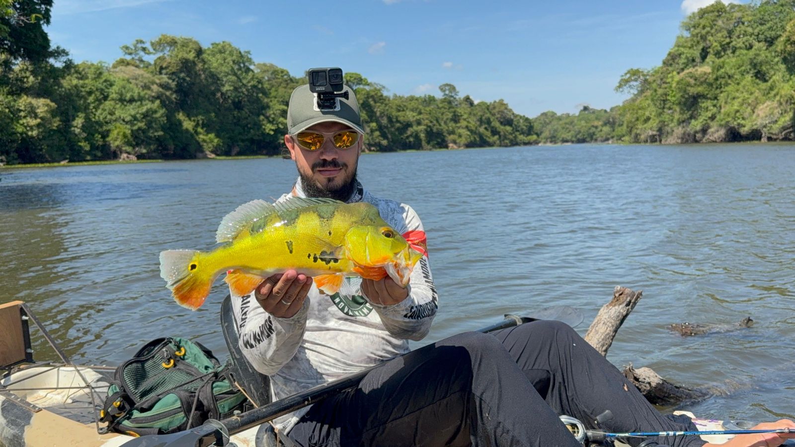 Rio Madeira concentra mais de 800 espécies de peixes catalogadas