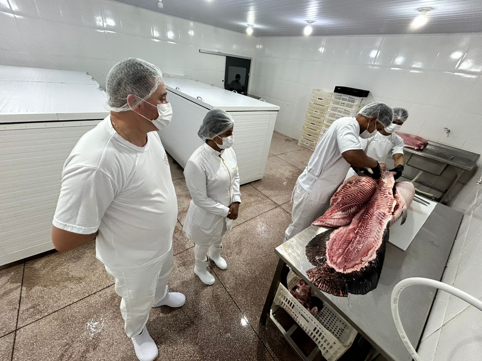Regularização ampliou a segurança alimentar e a competitividade dos produtos locais