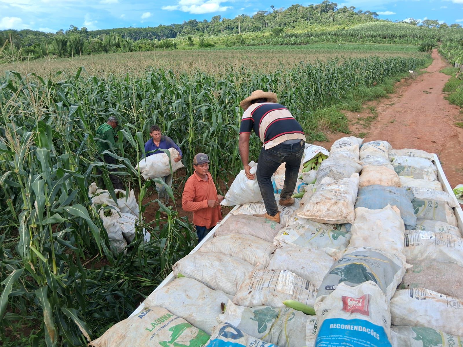 Transporte de produtos agrícolas já somam 387.700 quilos